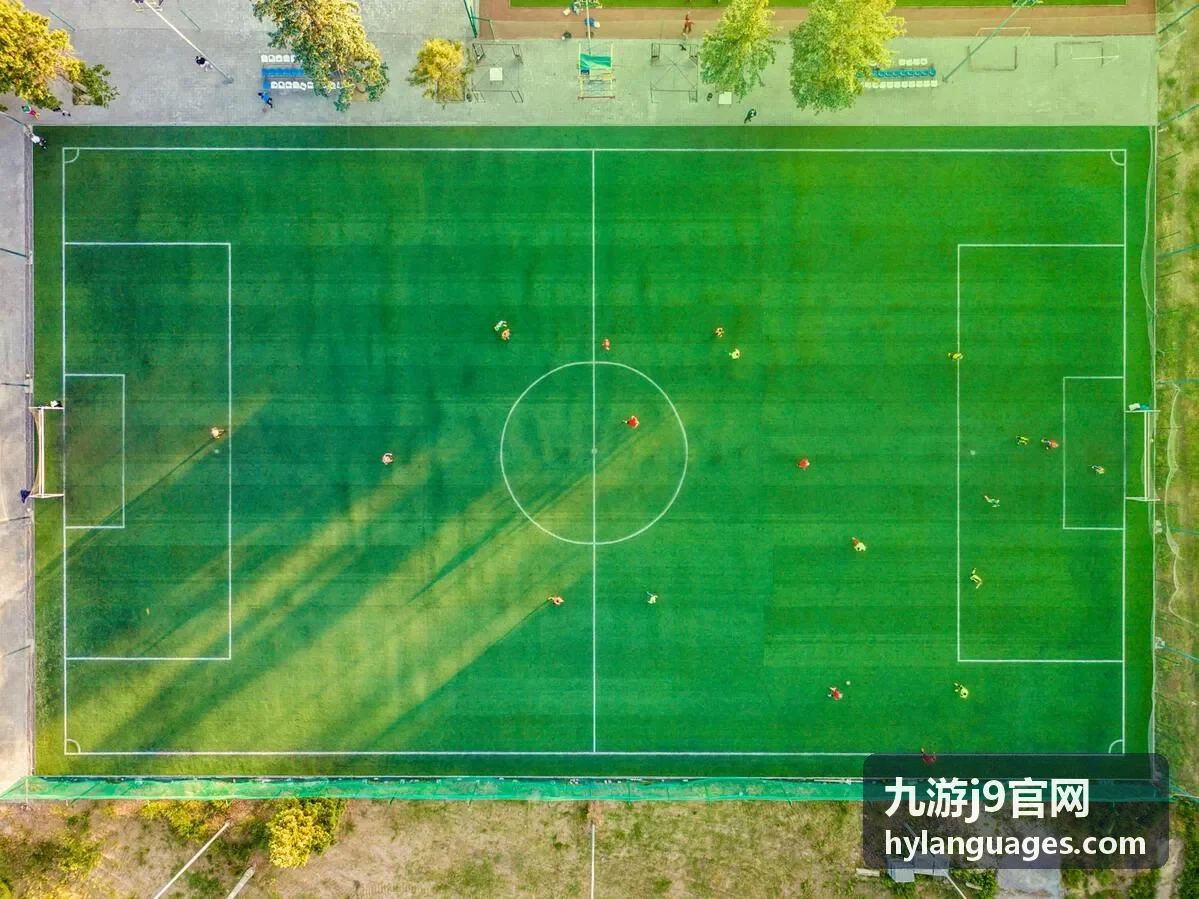 九游j9官网玩家成长路线规划与副本指引